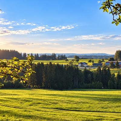 Andreashof - Urlaub auf dem Bauernhof