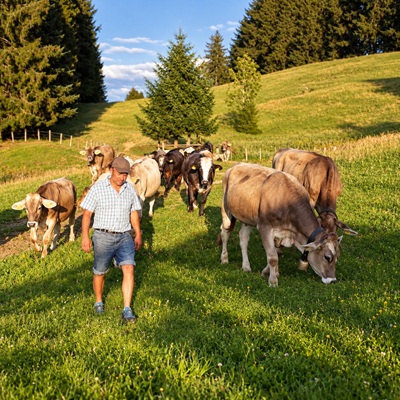 Andreashof - Urlaub auf dem Bauernhof