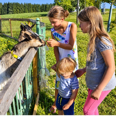Andreashof - Urlaub auf dem Bauernhof